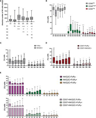 NK Cell Reconstitution After Autologous Hematopoietic Stem Cell Transplantation: Association Between NK Cell Maturation Stage and Outcome in Multiple Myeloma